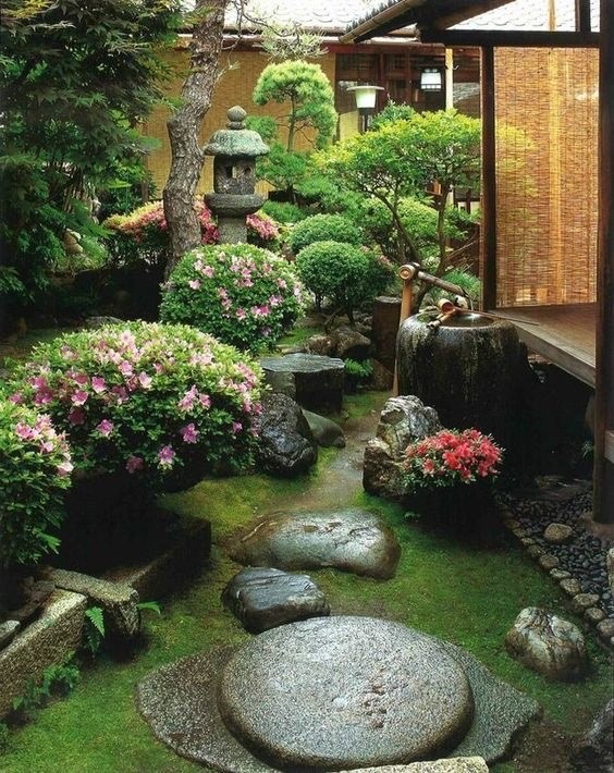 庭院景观