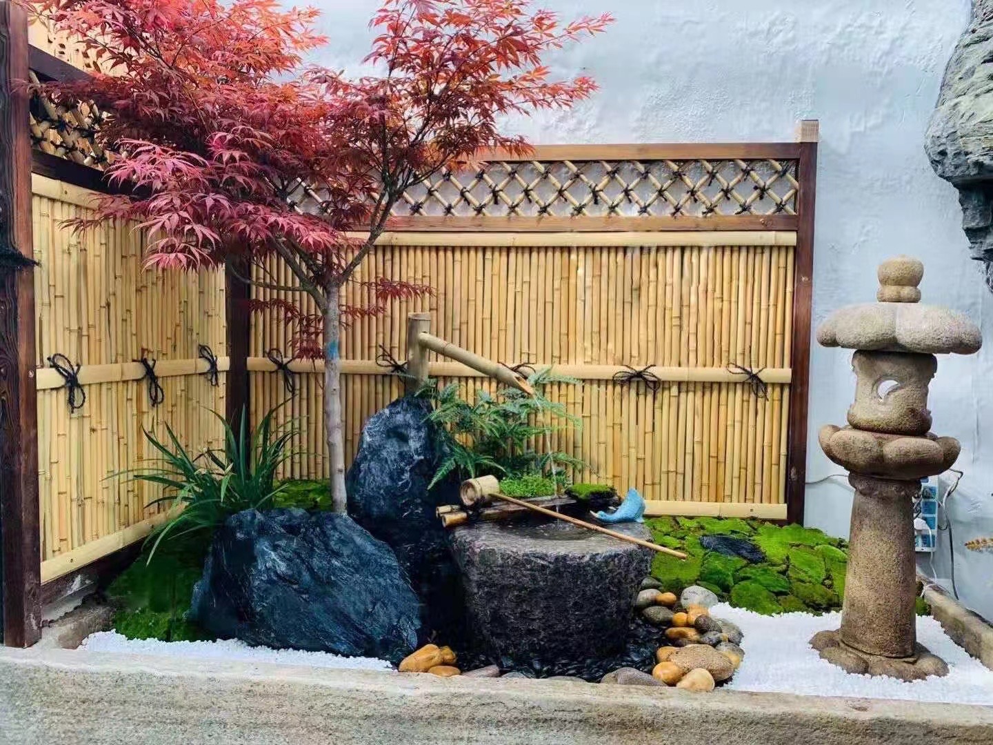 庭院景观