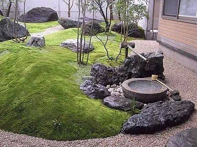 庭院景观