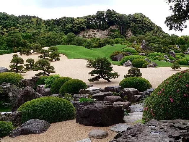 案例展示