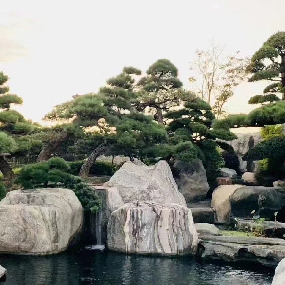 案例展示
