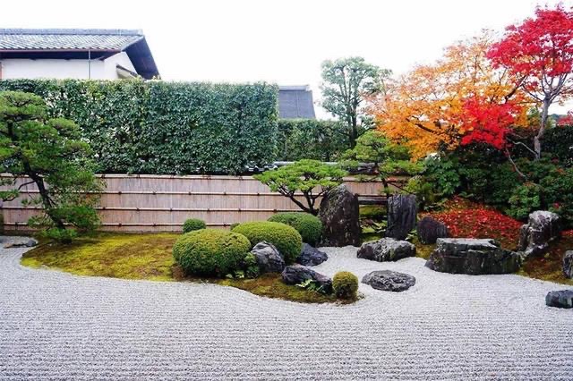 案例展示