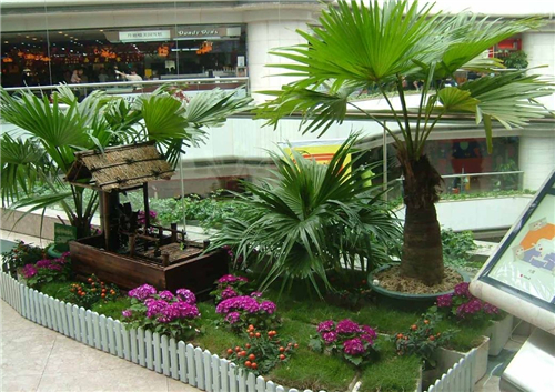 绿植租售