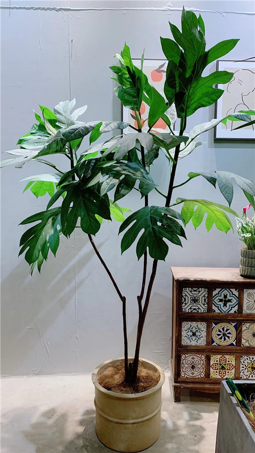 绿植租售
