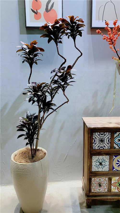 绿植租售