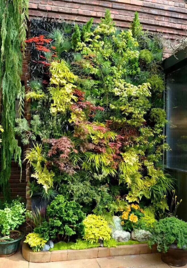 绿植墙