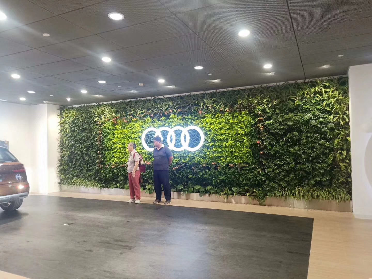 绿植墙