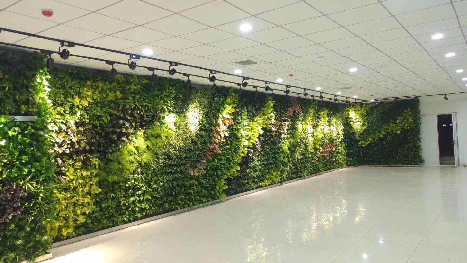 绿植墙