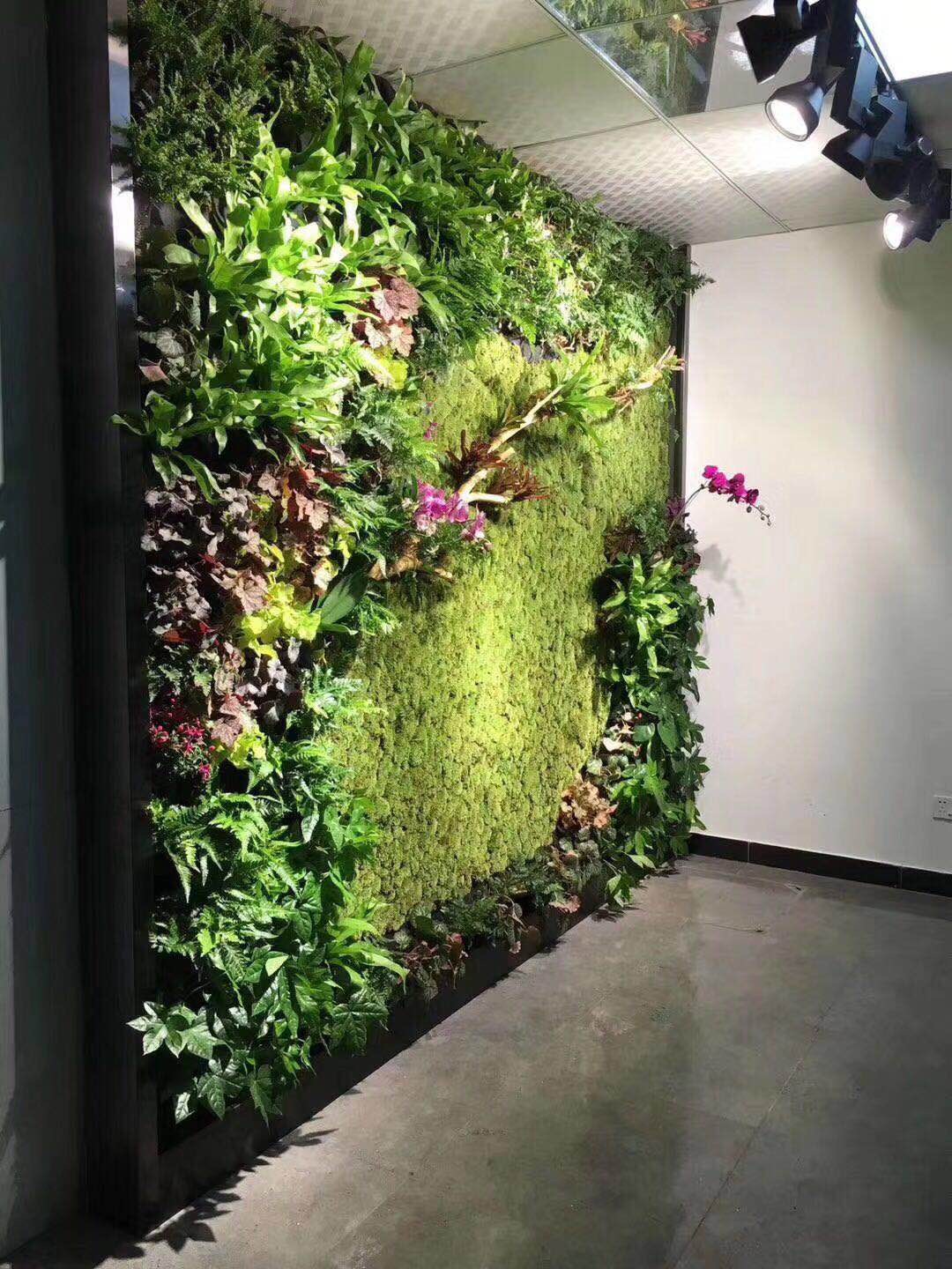 绿植墙