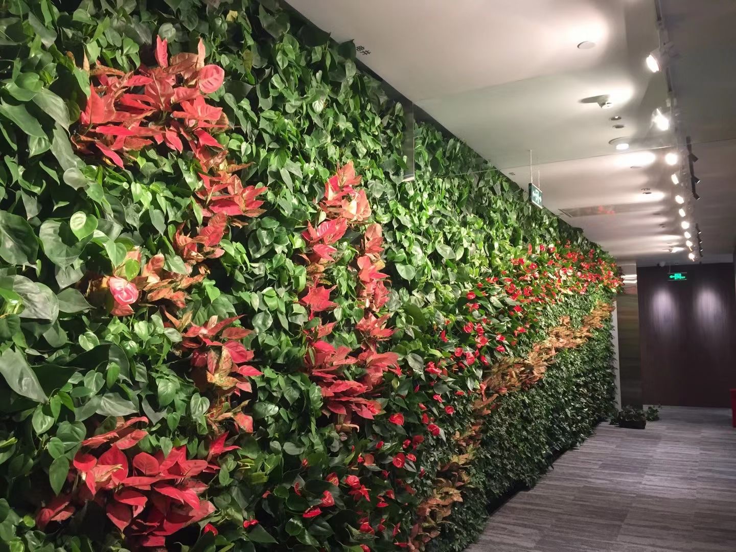 绿植墙