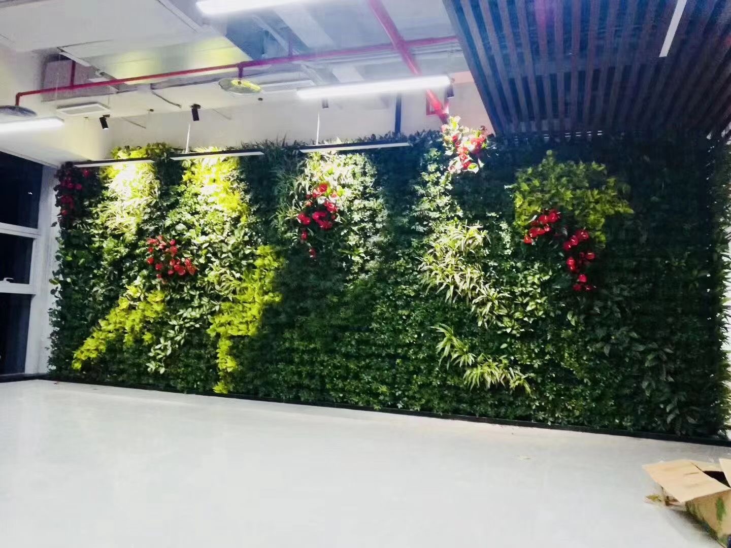 绿植墙