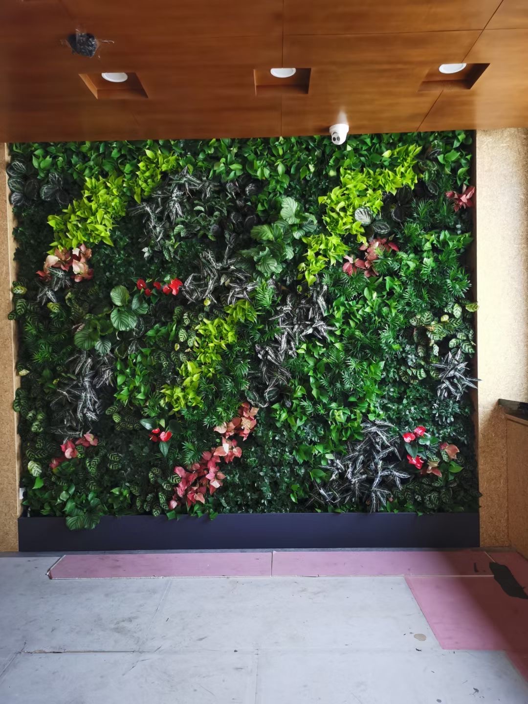 绿植墙