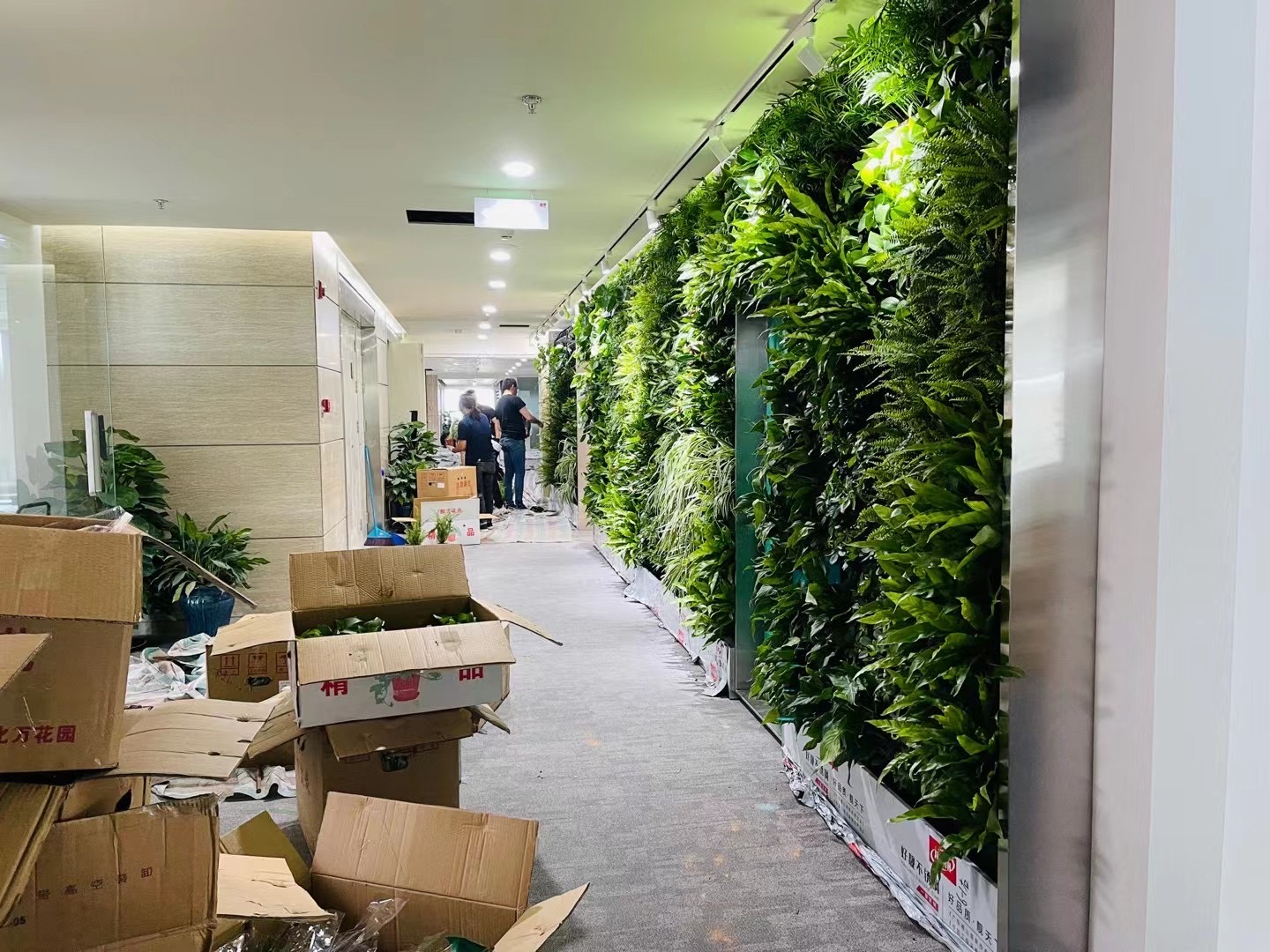 绿植墙