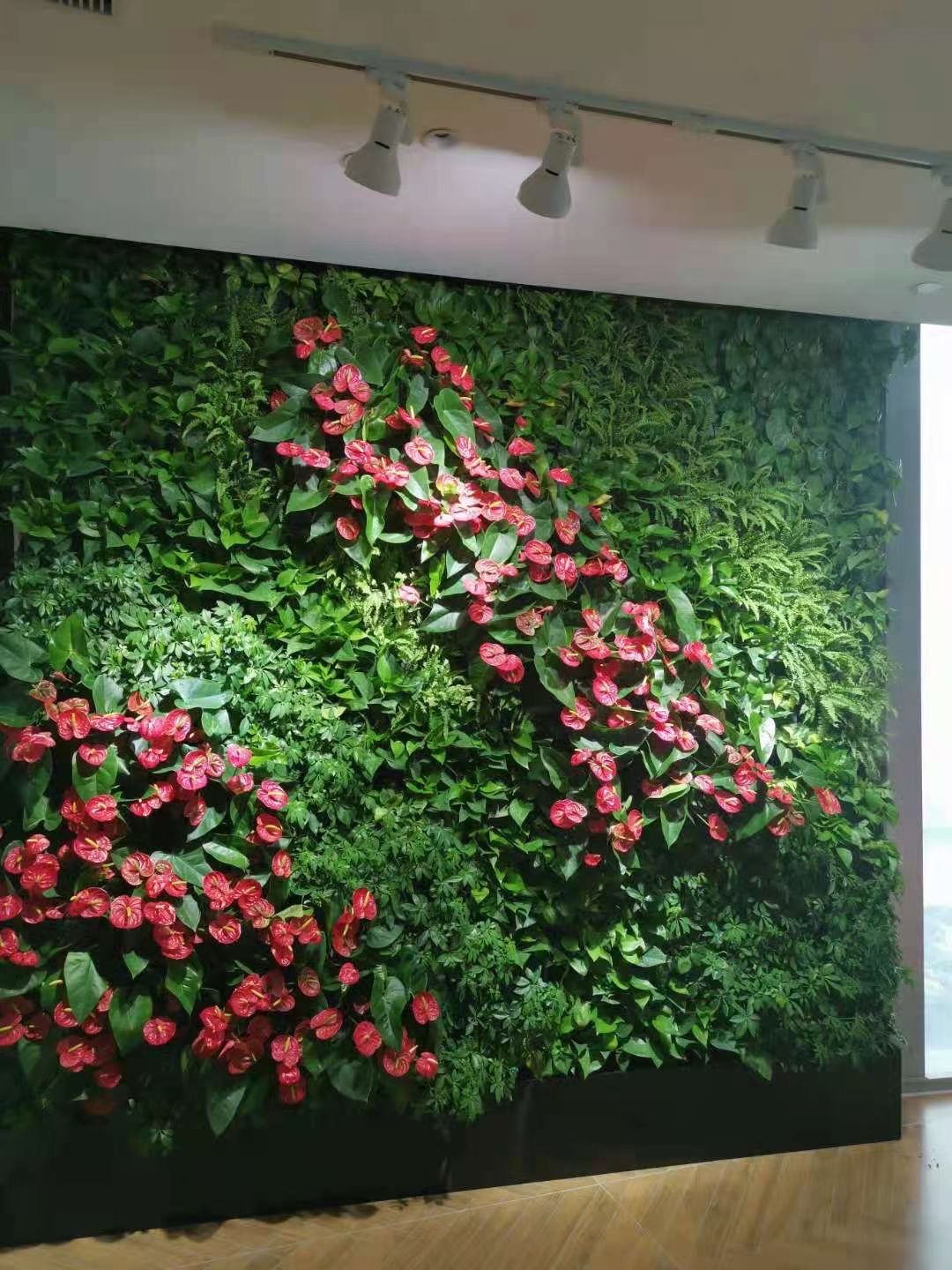 绿植墙