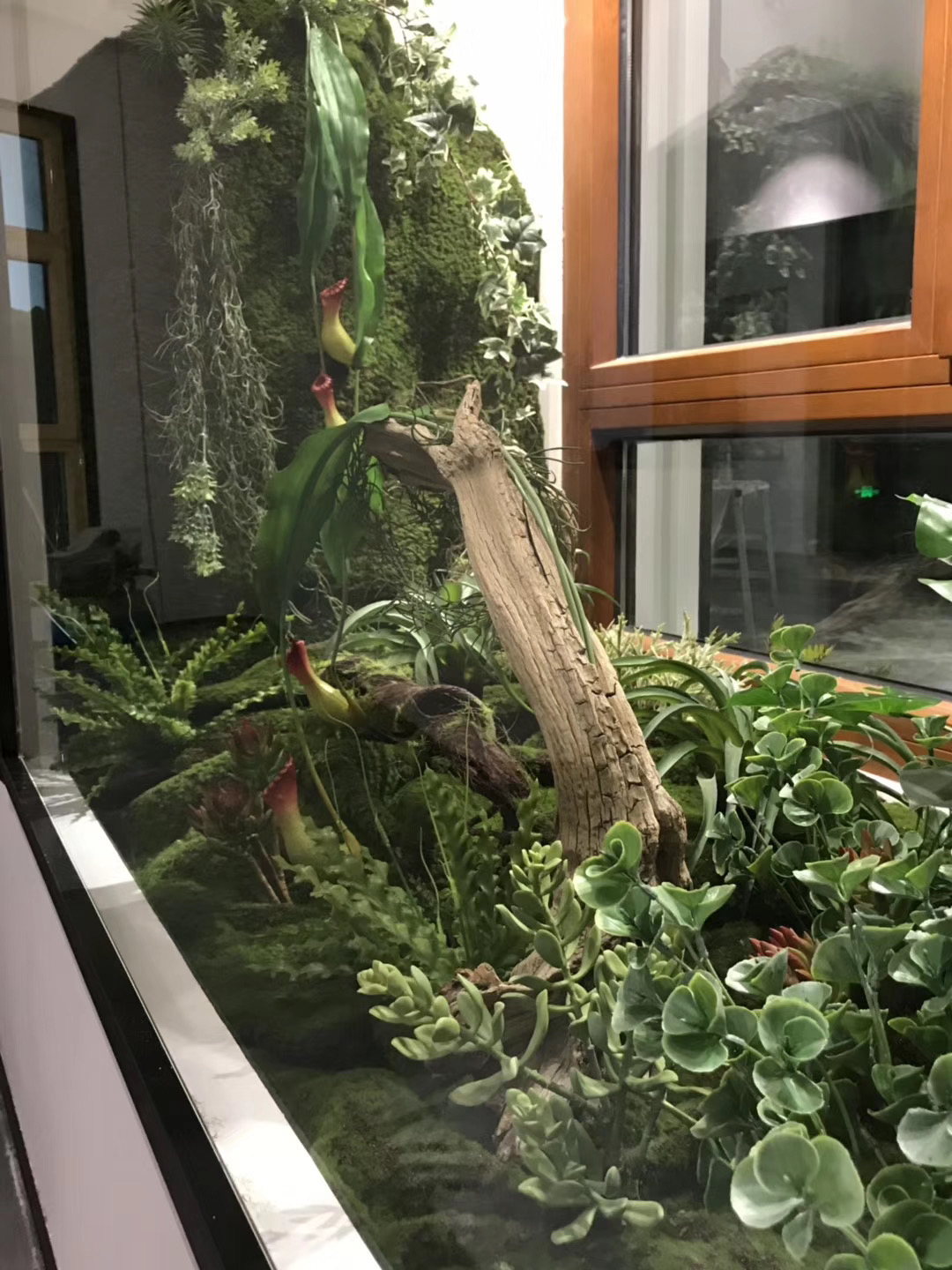 仿真绿植墙