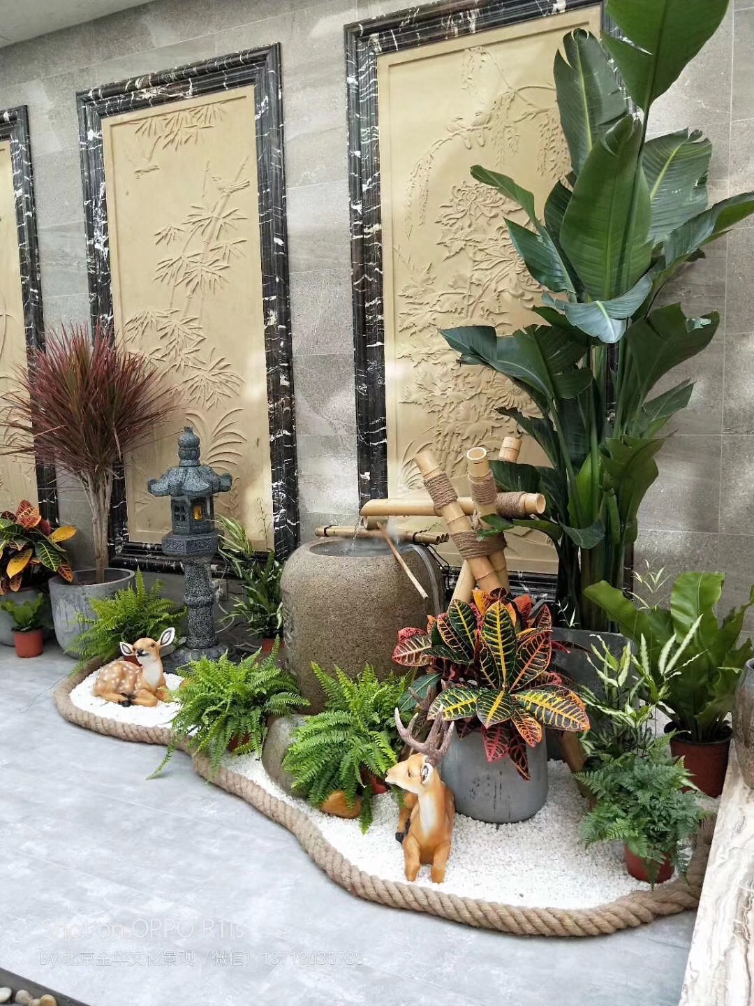 植物软装