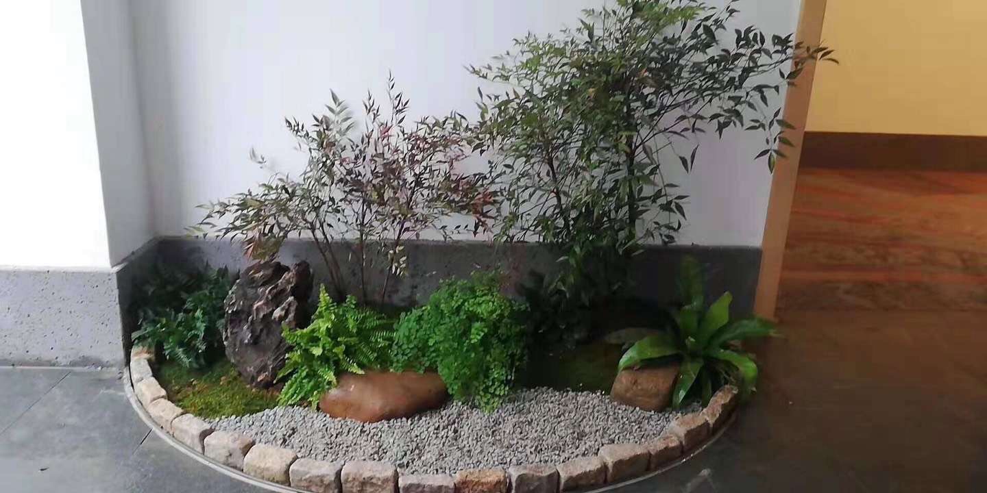 植物软装