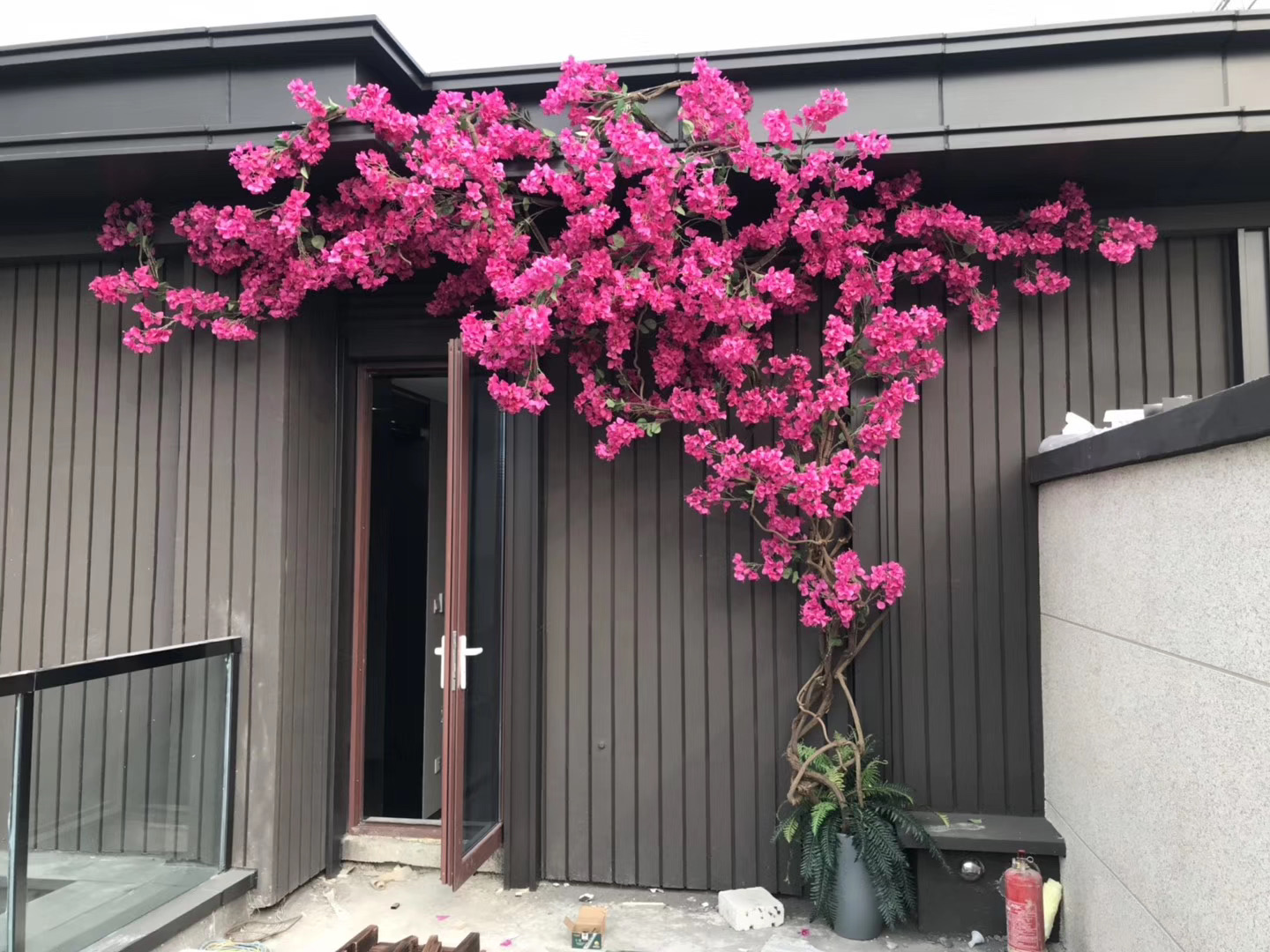 植物软装