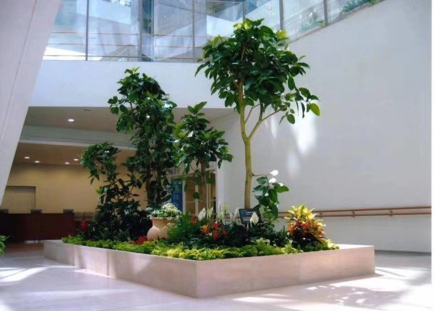 植物软装