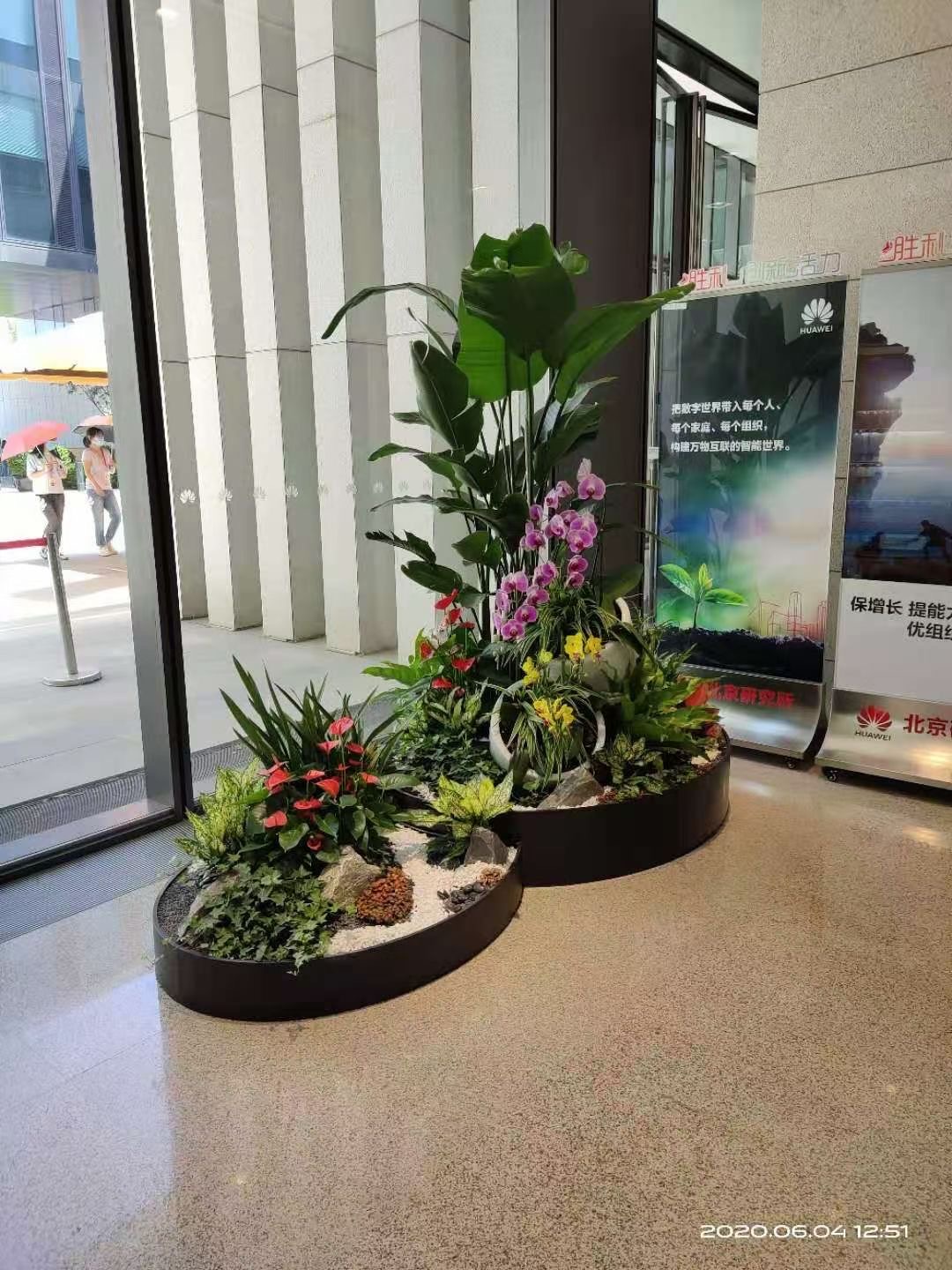 植物软装