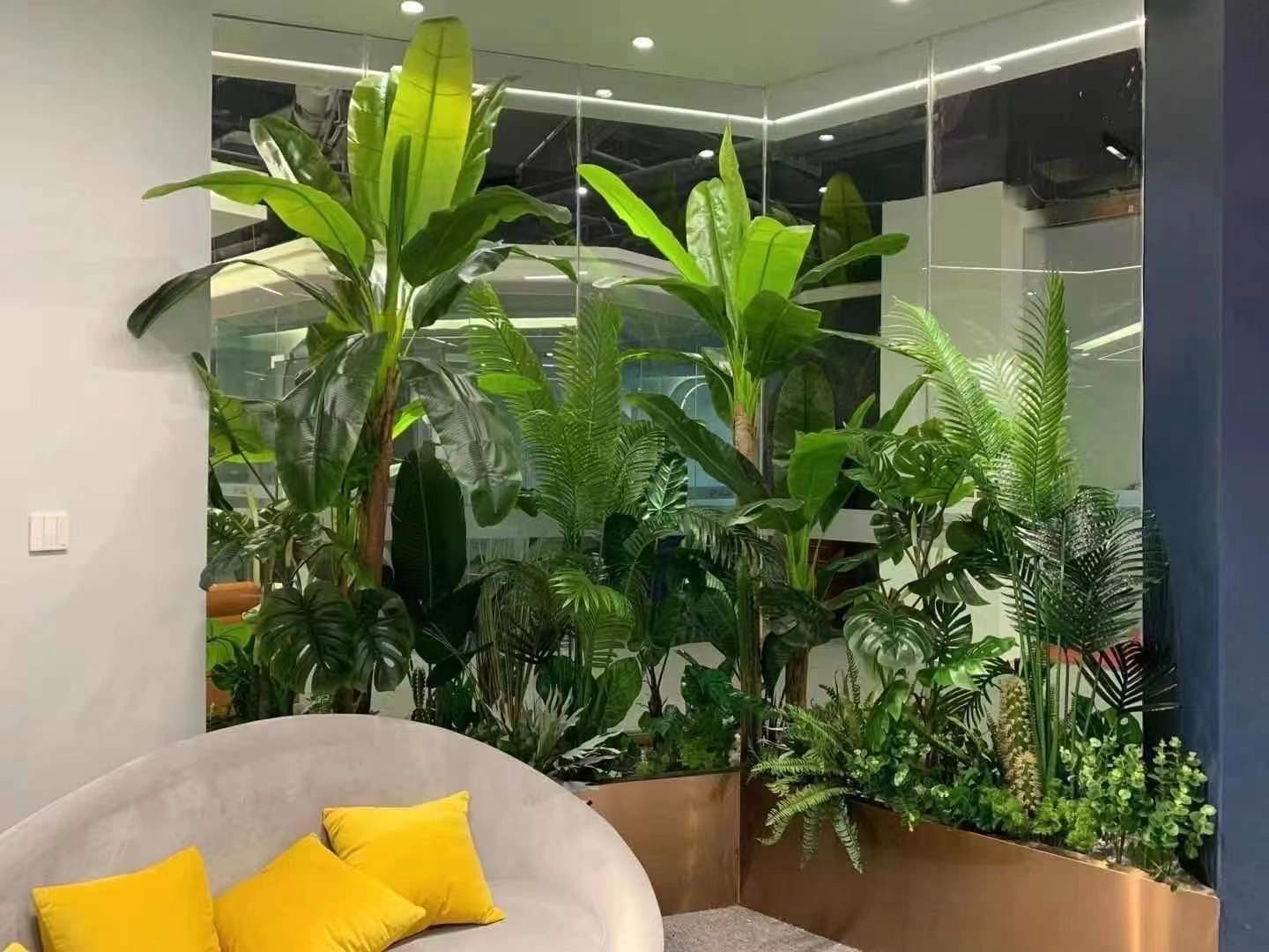 植物软装